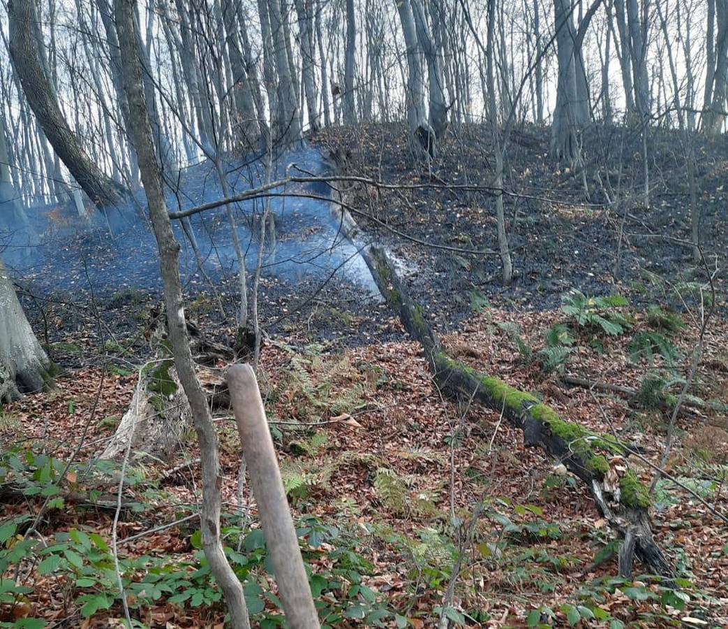 Новости Ингушетии: Погода может значительно повлиять на пожарную безопасность лесов Ингушетии