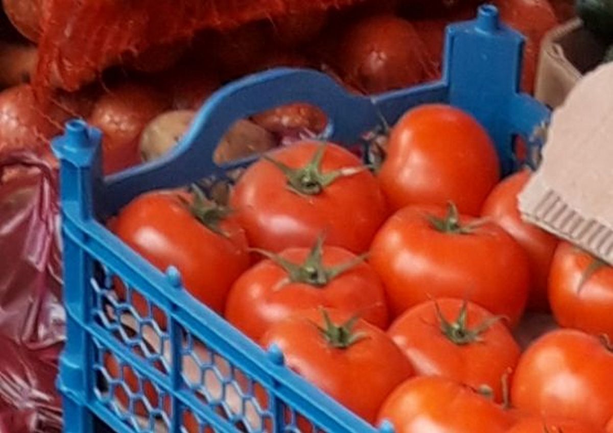 Новости Ингушетии: Более 5 тысяч тонн помидоров планируют собрать в Ингушетии в 2023 году