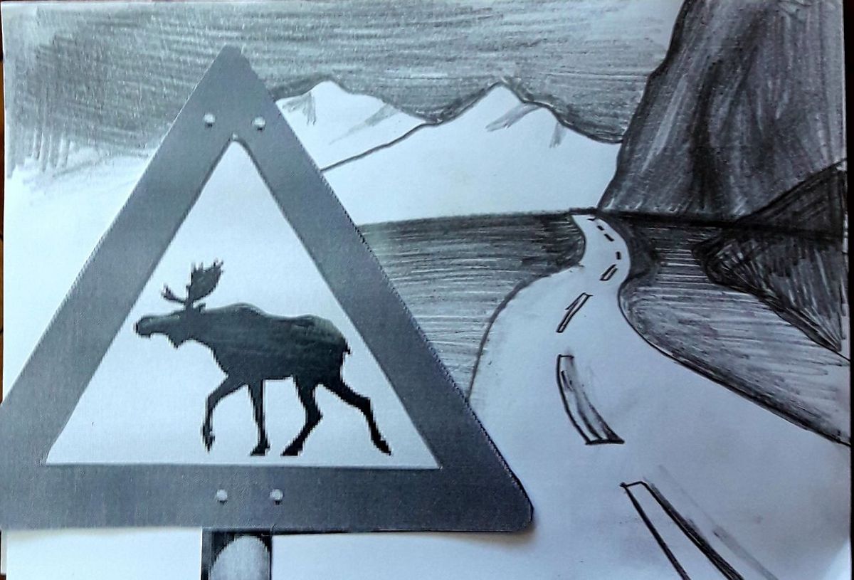 Новости Ингушетии: Водителей Ингушетии предупредили о диких животных на дорогах