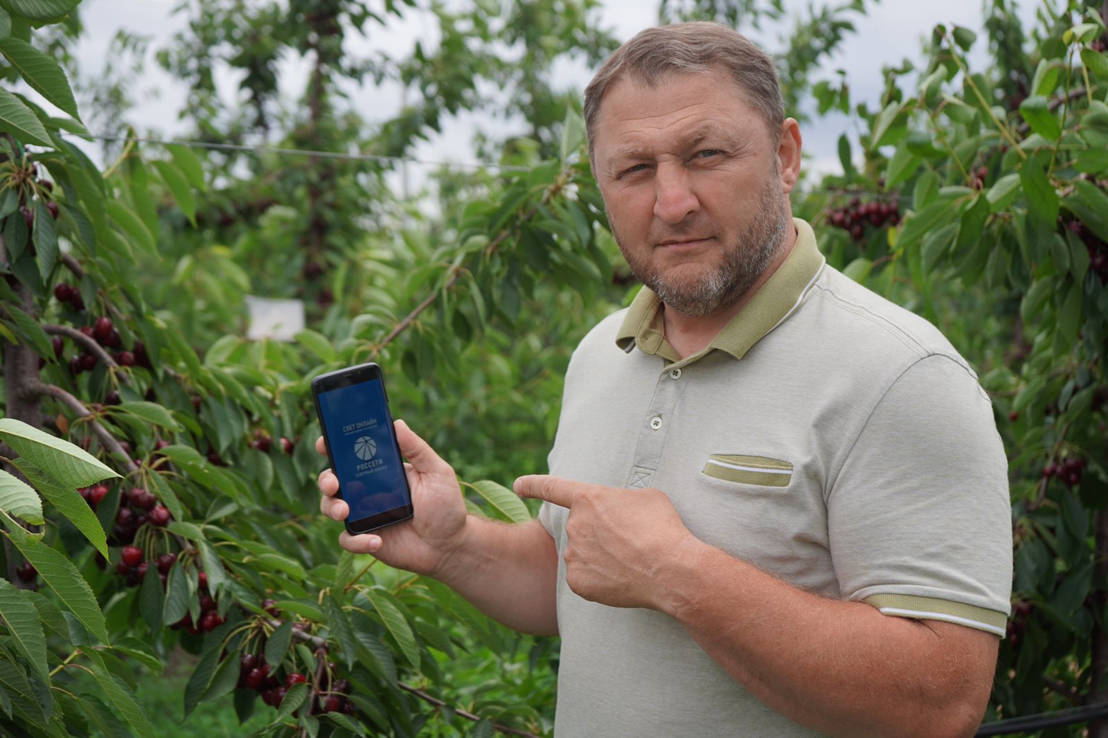 Новости Ингушетии: Аграрии Ингушетии оценили мобильное приложение «Россети Северный Кавказ» «Свет онлайн»