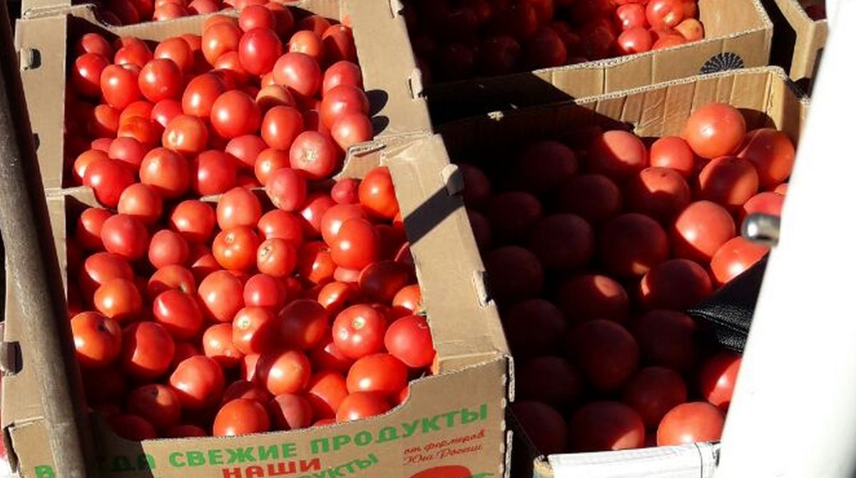 Новости Ингушетии: В Ингушетии отмечено замедление снижения цен на овощную продукцию