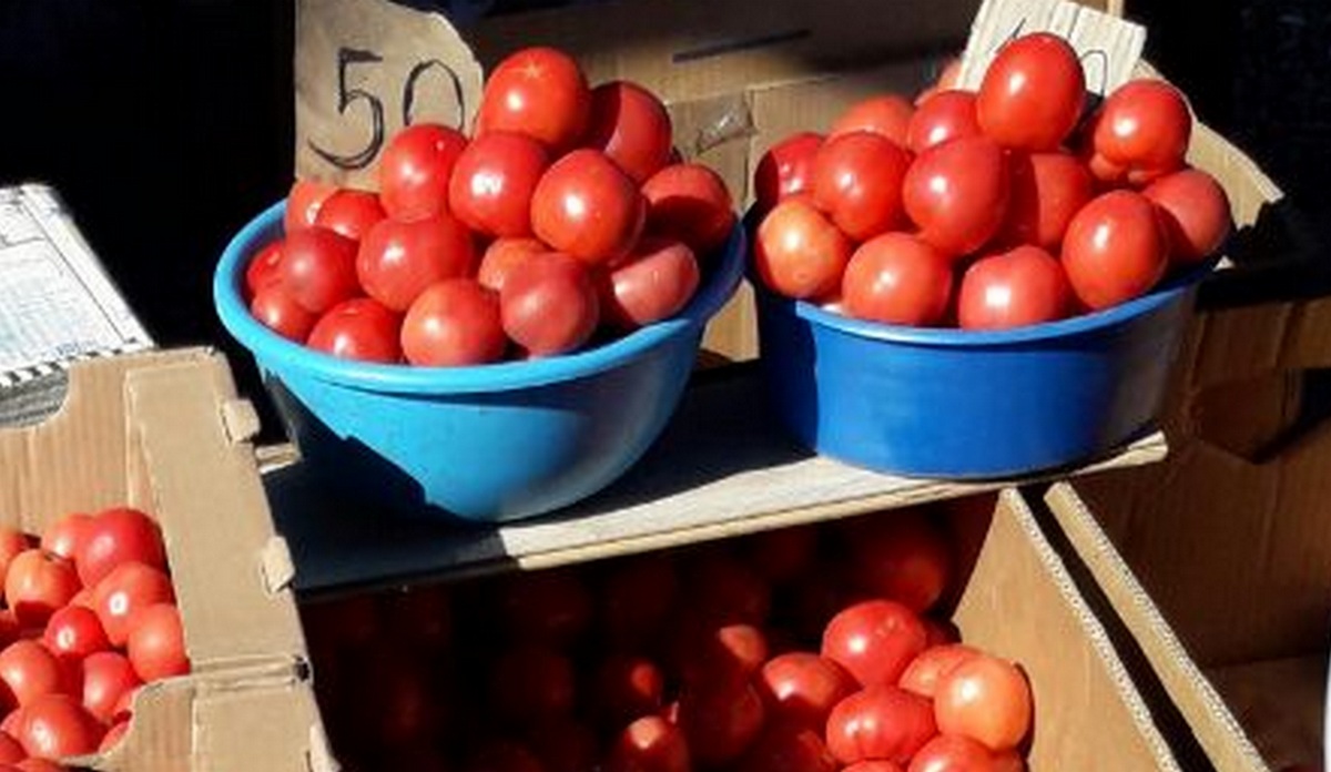 Новости Ингушетии: Яблок и помидоров в Ингушетии в текущем году заметно прибавится