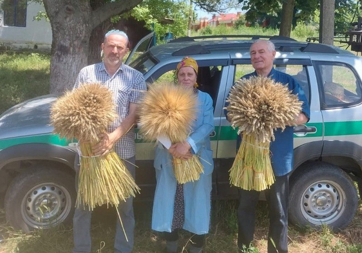 Новости Ингушетии: Семеноводы РСХЦ Ингушетии провели сортовую чистоту пшеницы и ячменя на более 200 гектаров