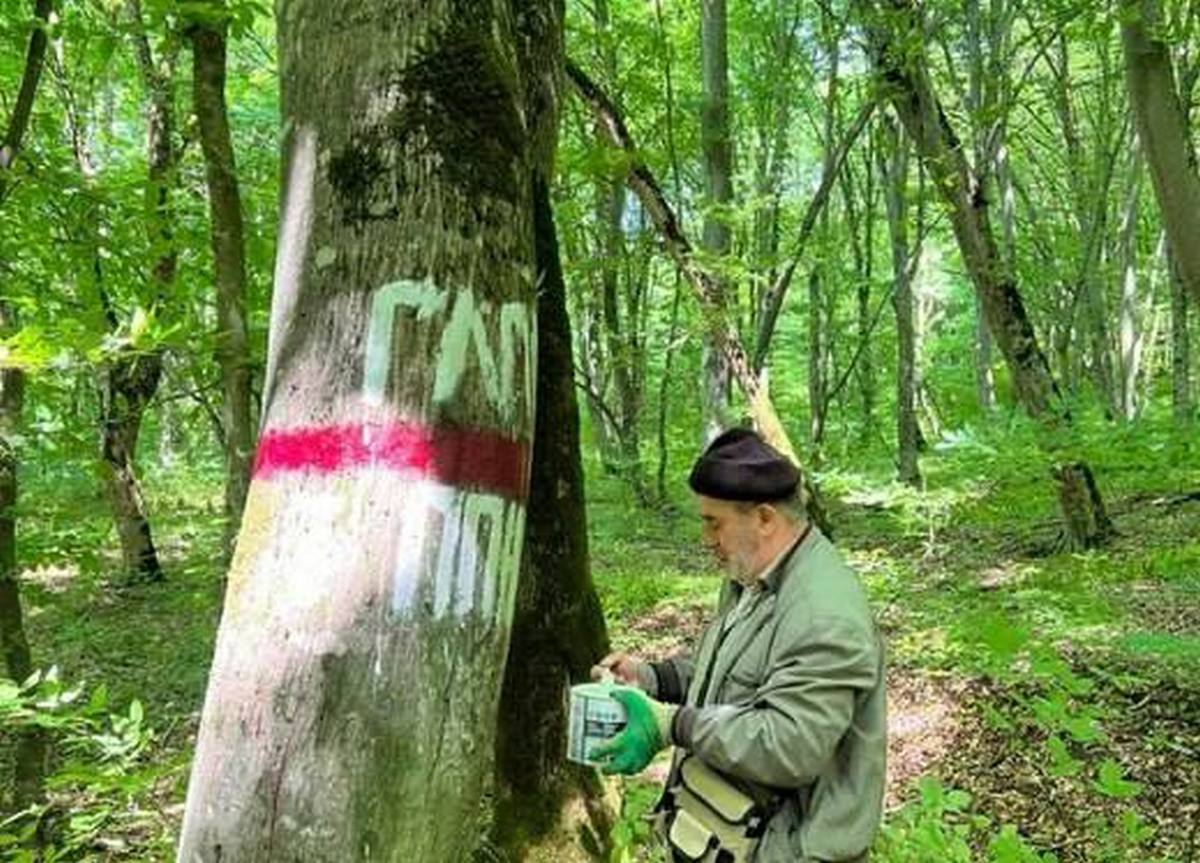 Новости Ингушетии: В лесничествах Ингушетии проводится лесопатологический мониторинг