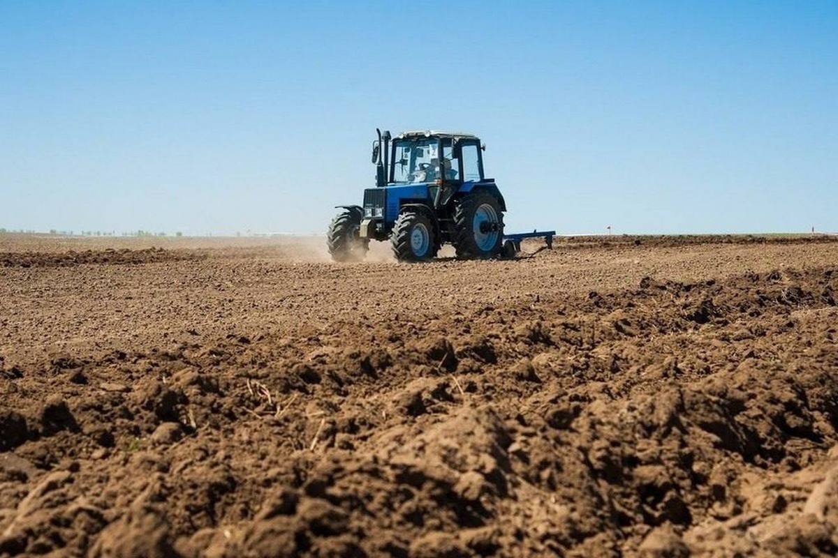 Новости Ингушетии: В Ингушетии, несмотря на сильную жару, уборка зерновых культур проходит в штатном режиме