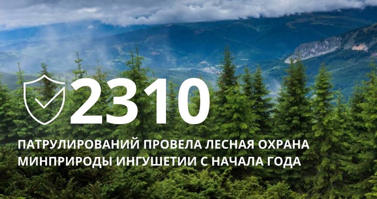 Новости Ингушетии: Земли лесного фонда Ингушетии являются государственной собственностью федерального значения