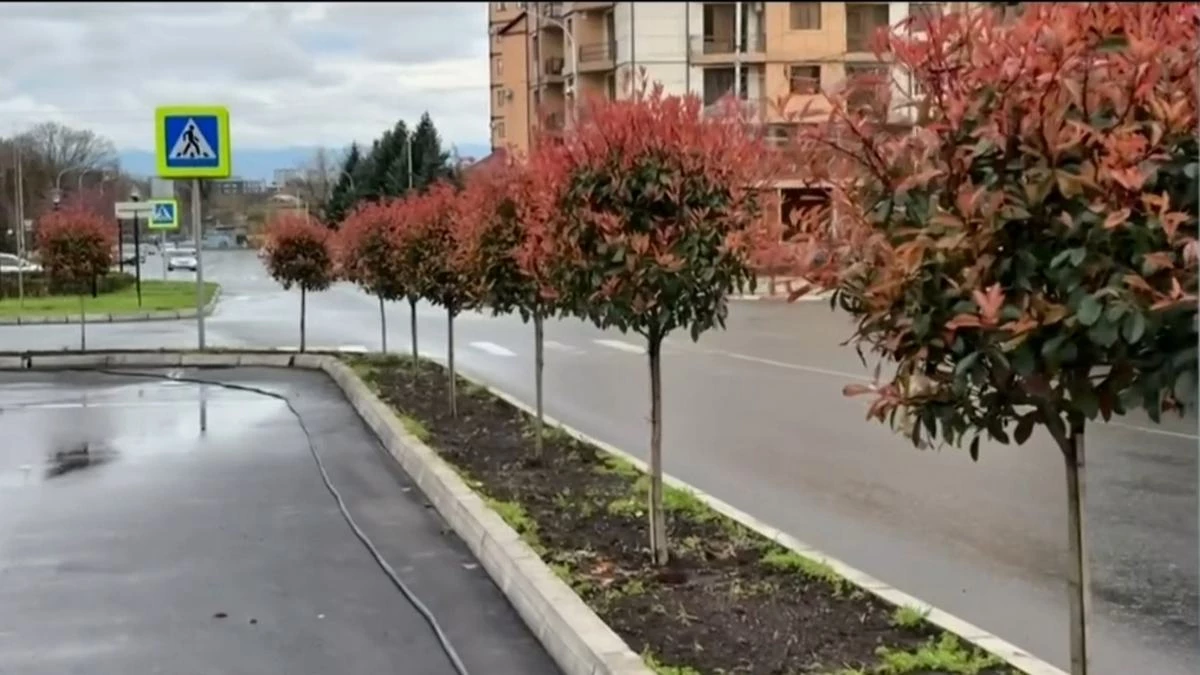 Новости Ингушетии: В Ингушетии отдают приоритет озеленению и архитектуре муниципалитетов