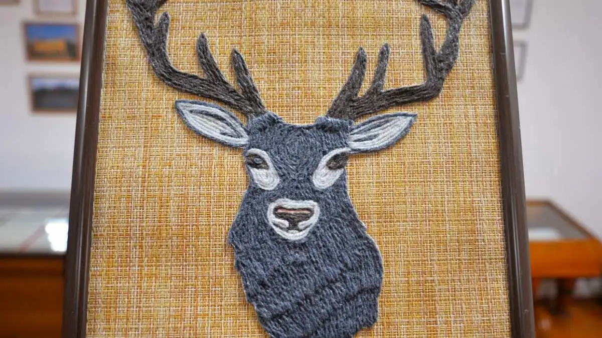 Новости Ингушетии: «Ханашта юкъера дийна бувзам» яха гойтам дӀабихьар вай музее