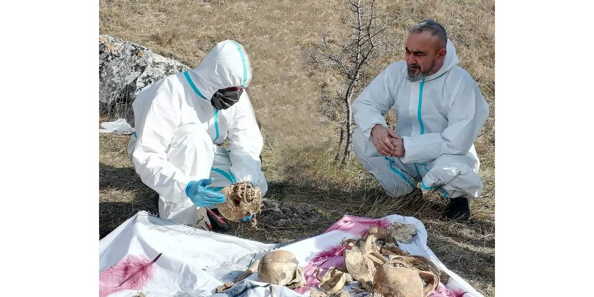 Новости Ингушетии: Гӏалгӏайчен лоаман моттигашка тохкамаш деш ба МГУ антропологаш