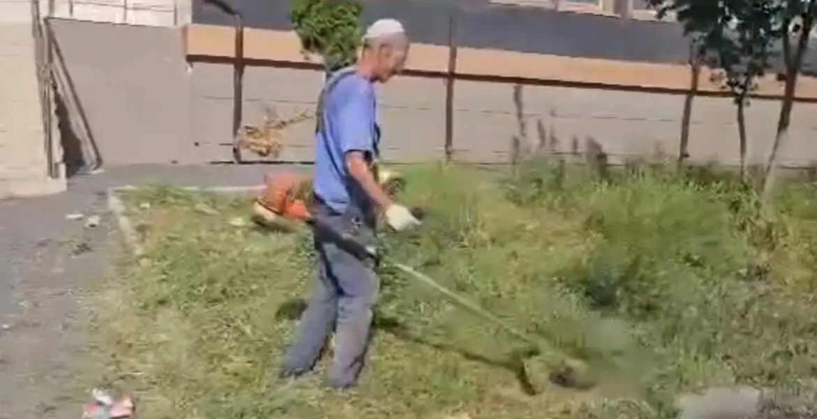 Новости Ингушетии: Наьсарен куц тоаду балхаш дIадоладаьд