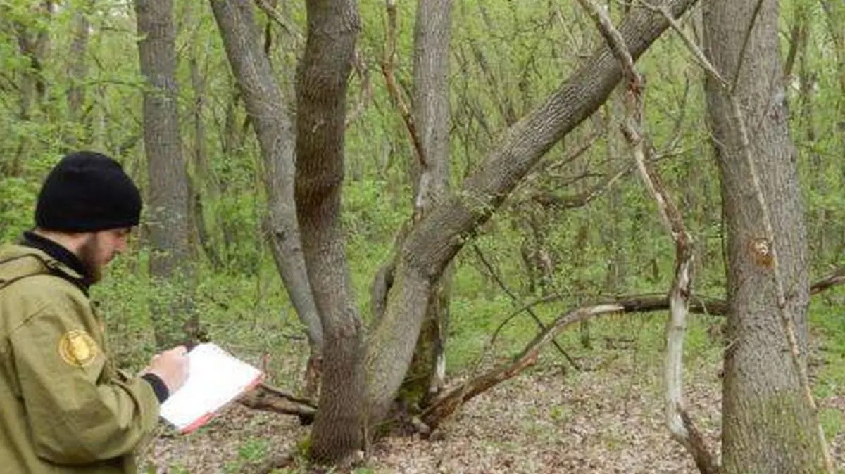 Новости Ингушетии: Россе президента аьлар, Ӏалам лорадерашта алапи лакхде