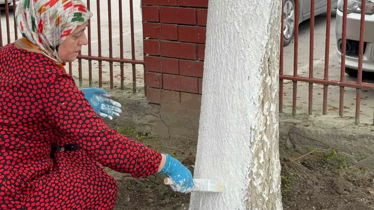 Новости Ингушетии: Перед праздником Ид аль-Фитр жители Карабулака проведут субботник