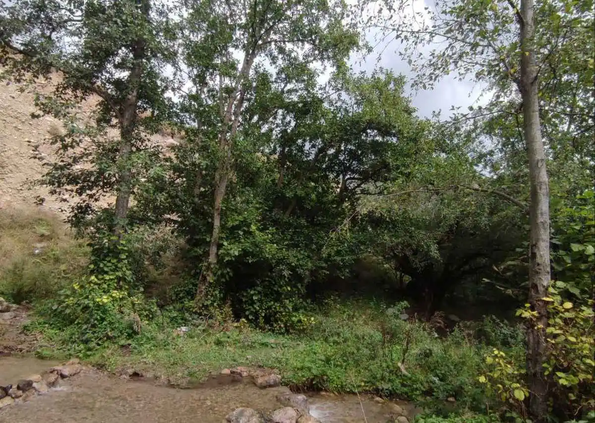 Новости Ингушетии: В Ингушетии продолжаются рейды инспекторов госохотнадзора