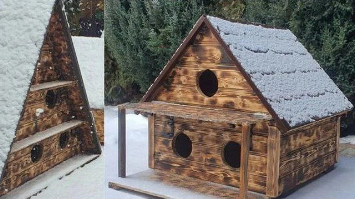 Новости Ингушетии: Сомадаккха хьай дог, маьл хургболча хӀаман тӀехьа