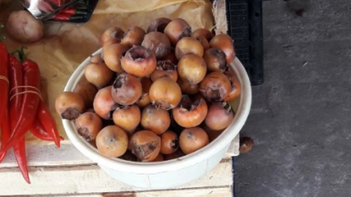 Новости Ингушетии: Вай базар тӀа дарбане хьамискаш йохка ха я