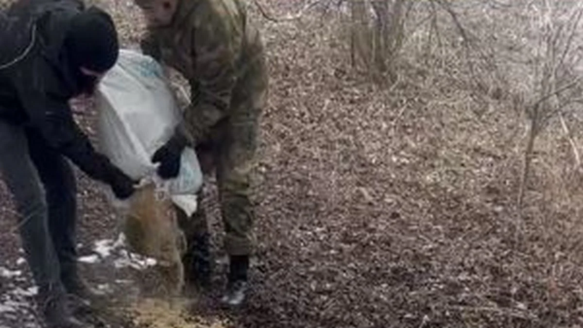 Новости Ингушетии: Госохотнадзор Ингушетии проводит постоянный мониторинг охотучастков