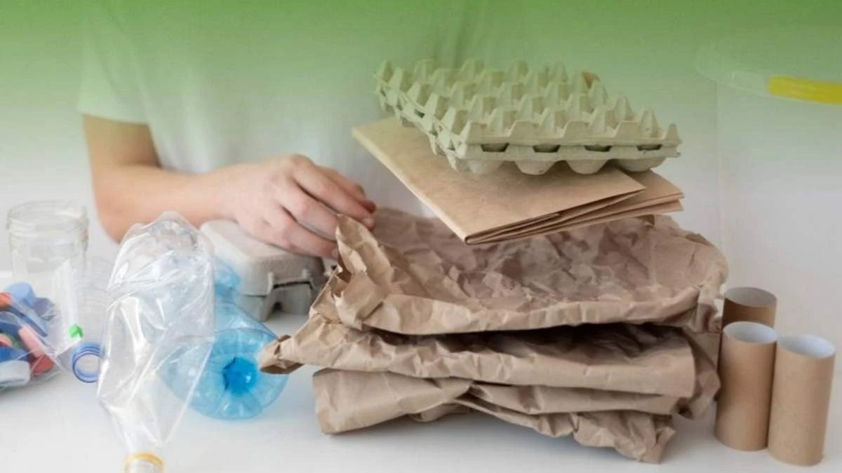 Новости Ингушетии: О пользе сбора и сдачи макулатуры напомнили жителям Ингушетии