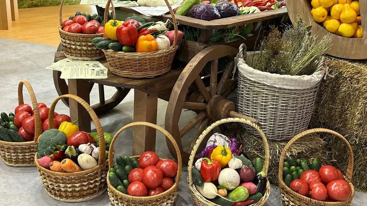 Новости Ингушетии: Ахархой оагӀув хьаллацаро беш бола пайда