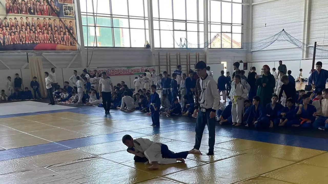 Новости Ингушетии: Беканаькъан Тембота хетаяь, дзюдох йола турнир хилар
