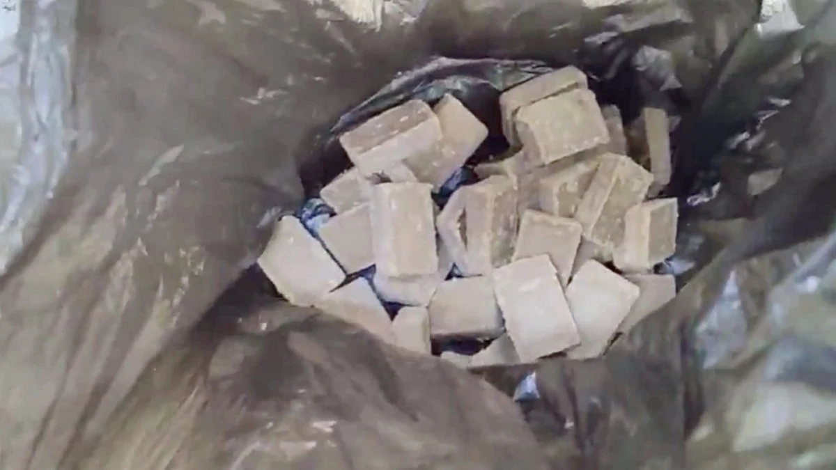 Новости Ингушетии: В лесах Ингушетии зверей спасают от заражения бешенством