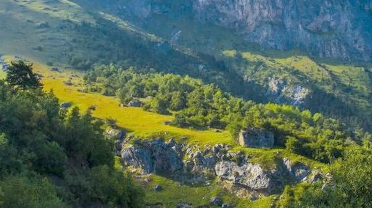 Новости Ингушетии: Аьхки 3 дрон эца лерхӀ Ӏалама гӀулакхех йолча министерствоc