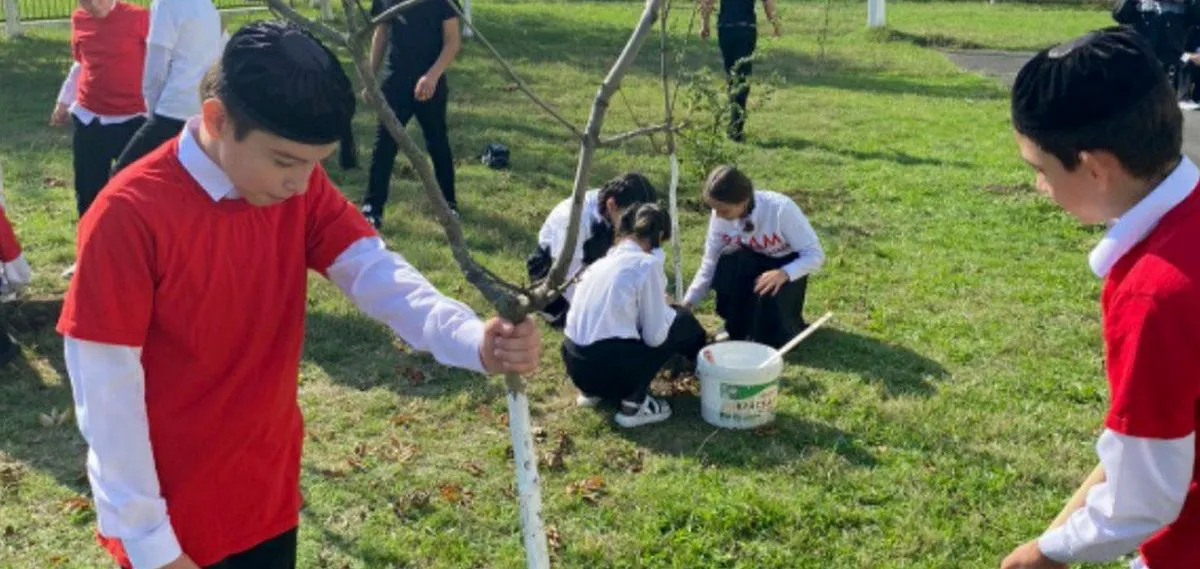 Новости Ингушетии: Школьники Ингушетии посвятят аллею педагогам России