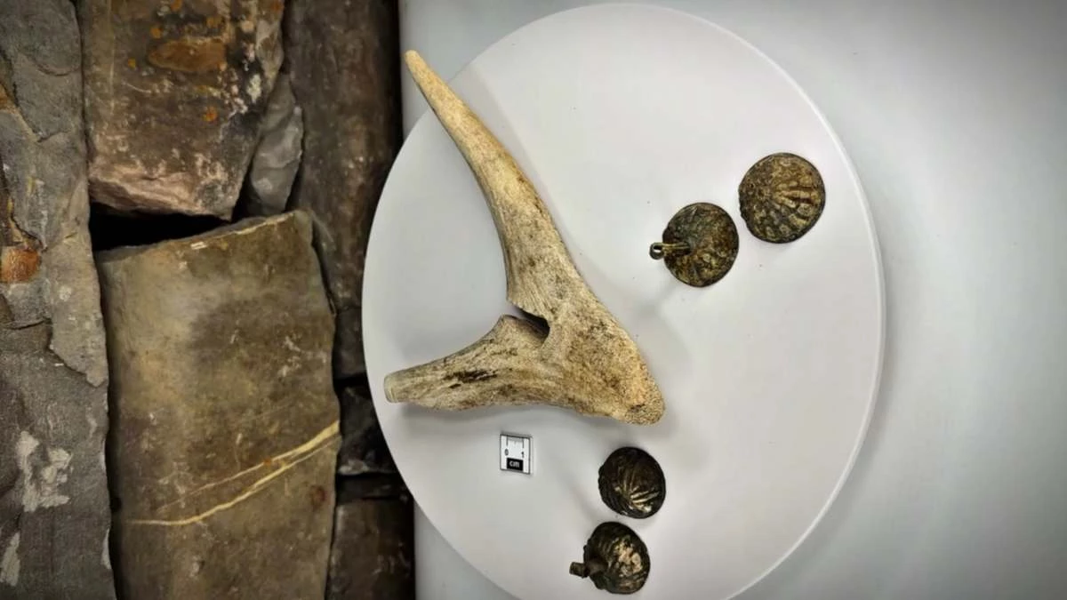 Новости Ингушетии: Посох жреца обнаружили в  башенном комплексе Нижний Пуй Ингушетии