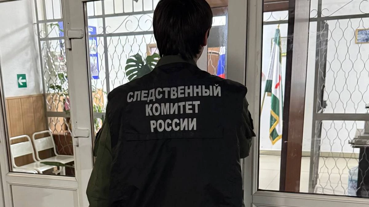Новости Ингушетии: В Ингушетии попал под суд за попытку мошенничества гендиректор фирмы
