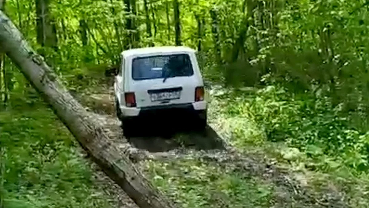 Новости Ингушетии: Диких животных  в Ингушетии защищают от незаконной охоты