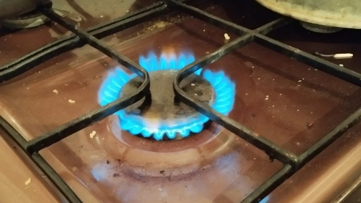 Новости Ингушетии: Шолжа-Шахьарерча Менделеева оалача урам тӀа, газ тоаеш боахк болхлой