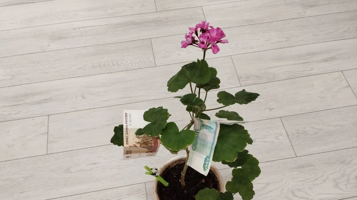 Новости Ингушетии: В Ингушетии хозяйствующих субъектов предупредили об экологических обязательствах