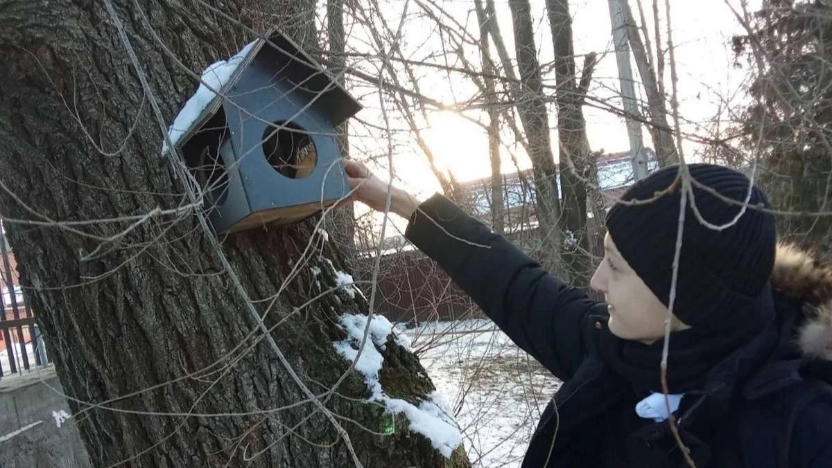 Новости Ингушетии: Юннаты  Ингушетии приняли участие в акции «Покормите птиц зимой»
