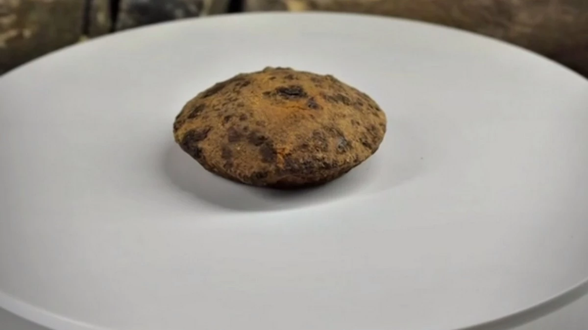 Новости Ингушетии: Ювелирная наковальня обнаружена археологами в Нижнем Пуе Ингушетии