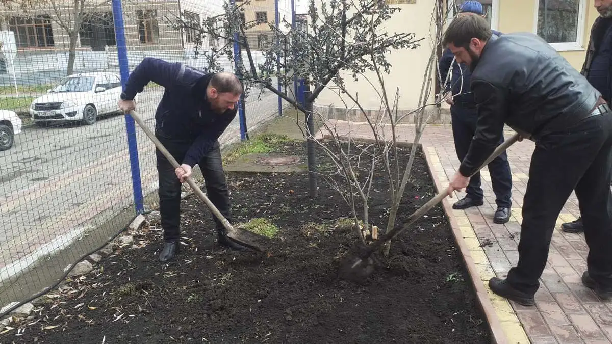 Новости Ингушетии: В Магасе Ингушетии благоустраивают государственные учреждения