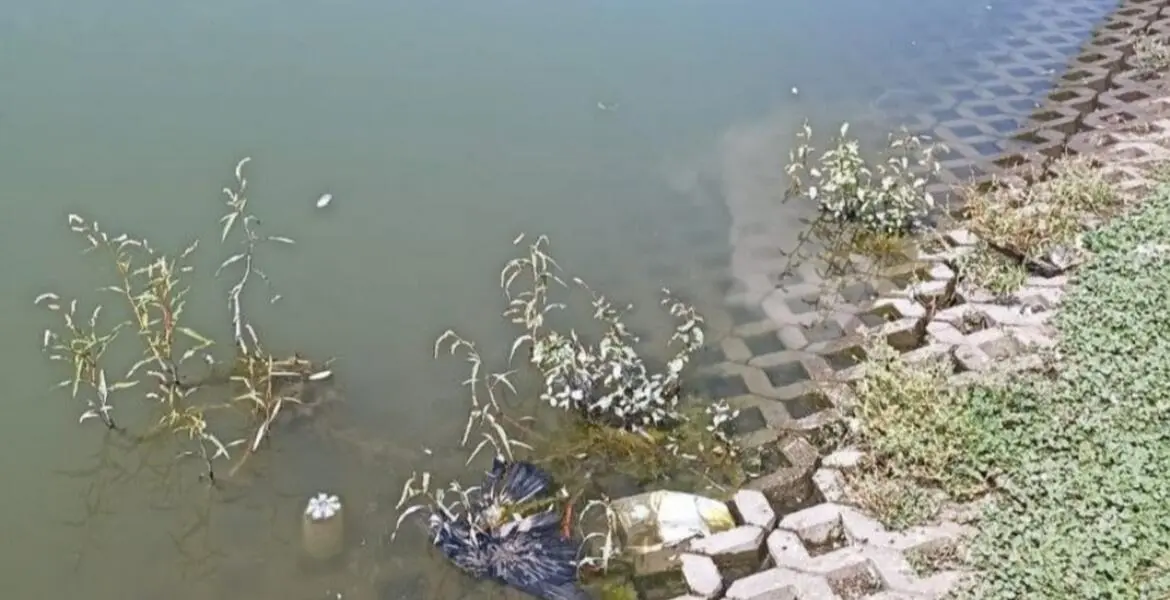 Новости Ингушетии: Специалисты ветеринарной службы Ингушетии выяснили причину гибели птиц