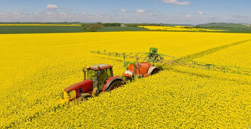 Новости Ингушетии: Конкурс руководителей АПК «Соль земли»-2025 ждёт заявок из Ингушетии