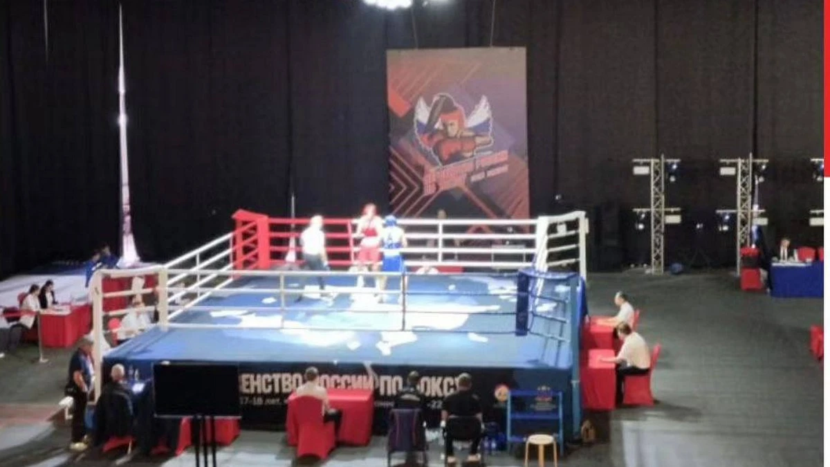 Новости Ингушетии: Къона боксёраш Россе хьалхале яккхара яхьашка дакъа лоацаш ба