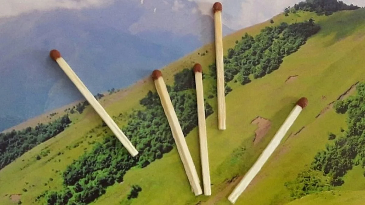 Новости Ингушетии: Отменен особый противопожарный режим в лесах Ингушетии