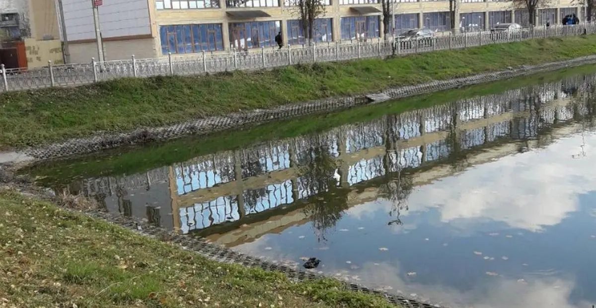 Новости Ингушетии: Хин хьалага хьожаш хилар лораш