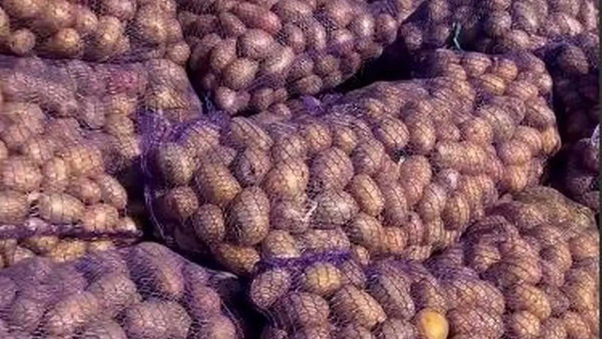 Новости Ингушетии: ГӀалгӀайчен ярмарке геттара лоха маьхаш да