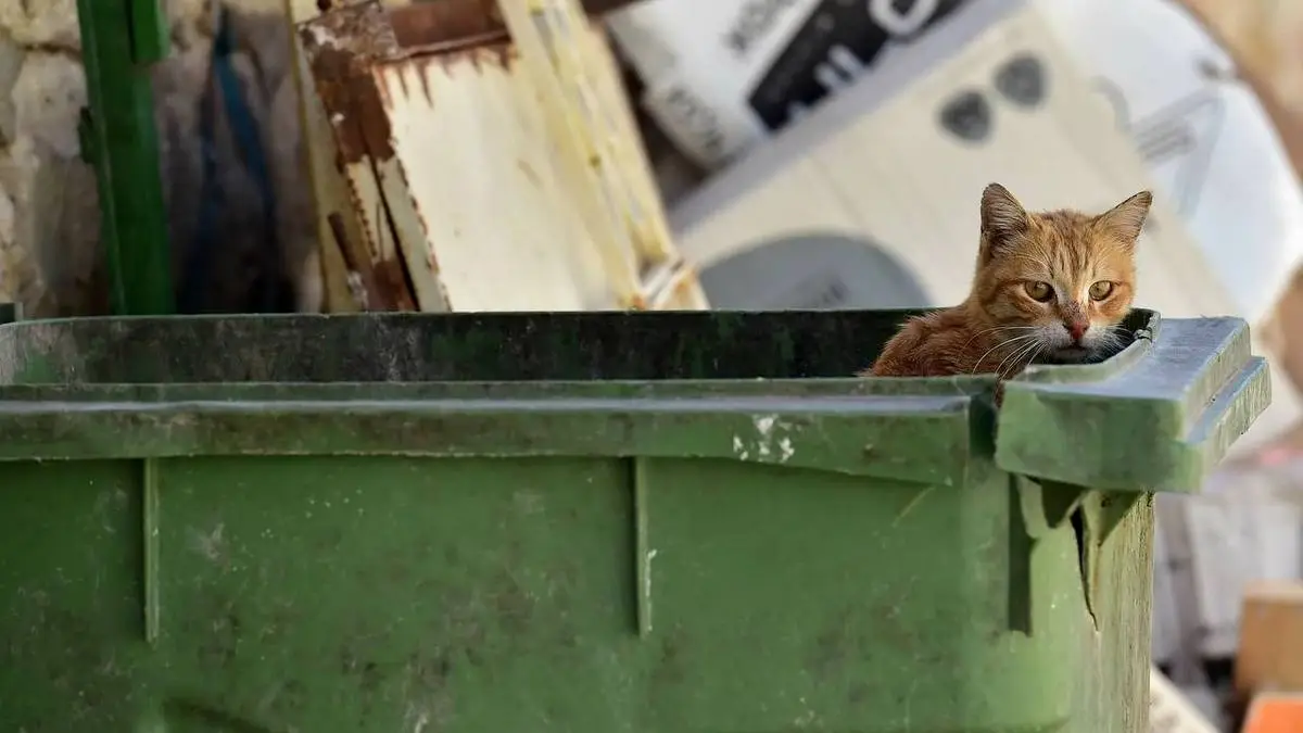 Новости Ингушетии: Минприроды Ингушетии напомнило об опасности разбитого стекла