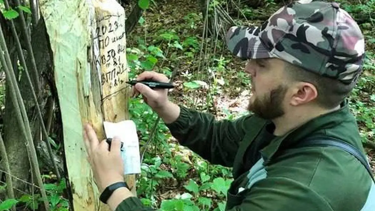 Новости Ингушетии: В Ингушетии успешно завершились лесопатологические обследования