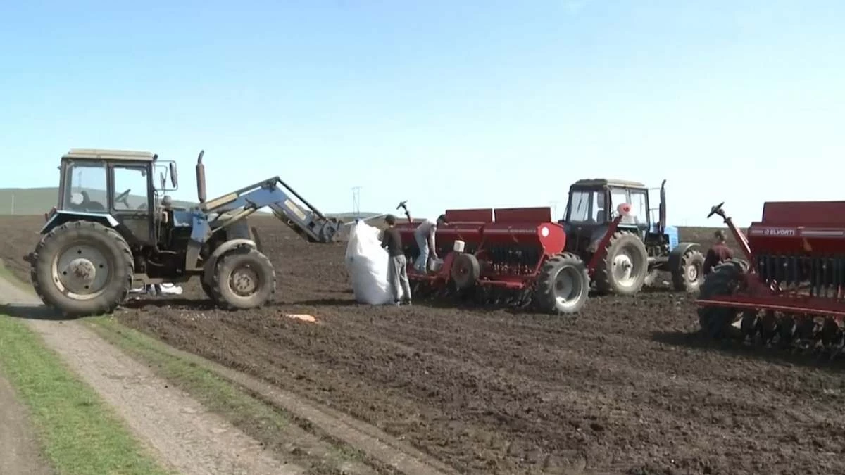 Новости Ингушетии: Агропромышленный комплекс Ингушетии показывает устойчивый рост