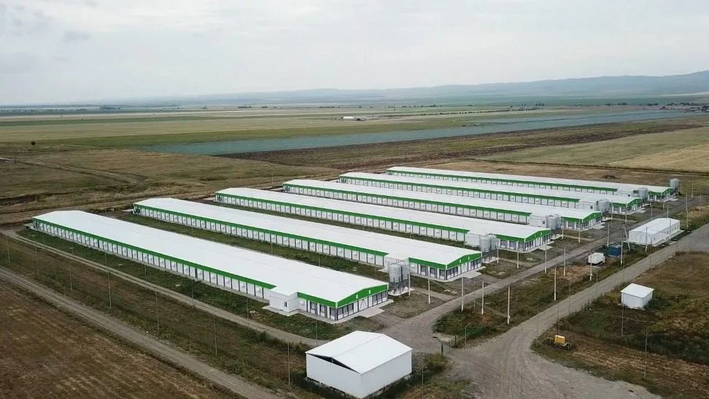 Новости Ингушетии: Птицекомплекс Ингушетии стал обладателем сертификата «Продукция Кавказа»