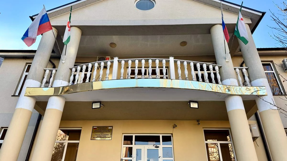 Новости Ингушетии: Специалисты проверили качество 400 килограммов семян из лесов Ингушетии