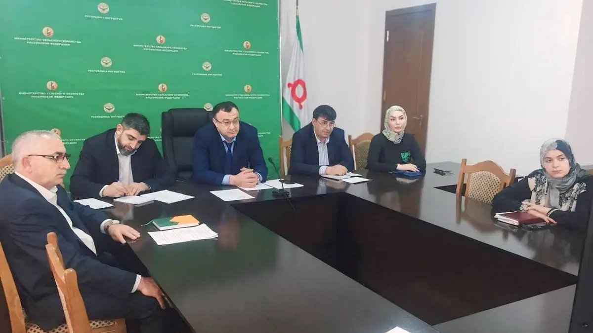 Новости Ингушетии: БӀаьстан кхашкара балхаш дӀахьош да