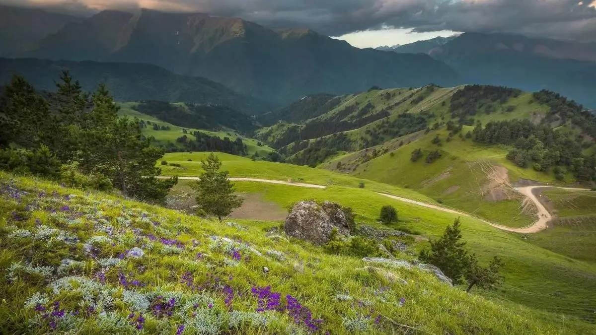 Новости Ингушетии: Аьрзерча беркатеча Iаламах дувц, республикан бахархошта