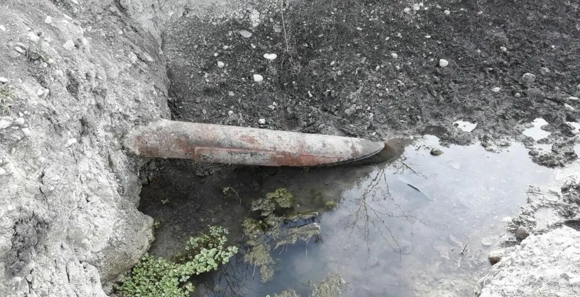 Новости Ингушетии: ГӀалгӀайчен цхьайолча юрташка хин турбаш тоаяь яьннай