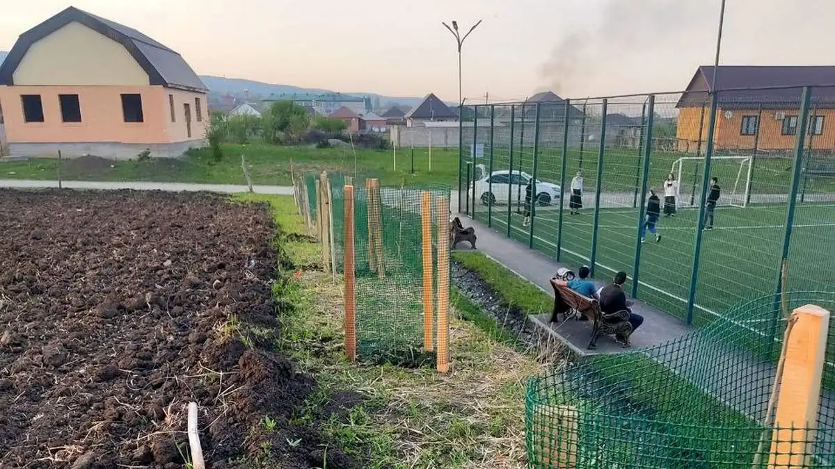 Новости Ингушетии: В селе Алхасты Ингушетии посадили саженцы вдоль мини-футбольного поля