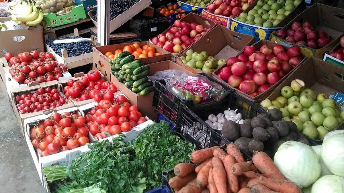 Новости Ингушетии: Мишта латт дохкара-эцара гӀулакх?